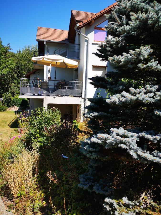 Chene Rouge Villa Lapoutroie Exterior photo