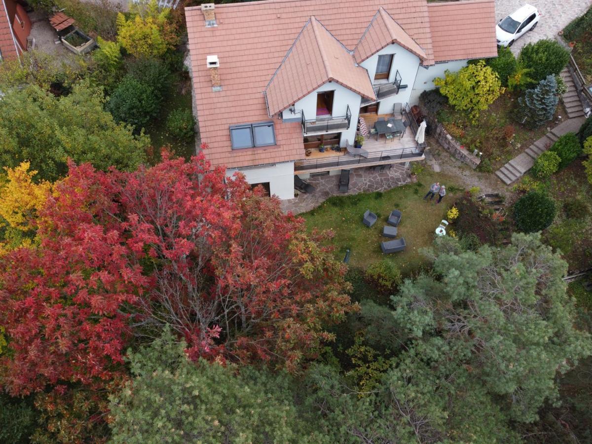 Chene Rouge Villa Lapoutroie Exterior photo